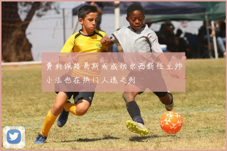 费利佩路易斯或成切尔西新任主帅小法也在热门人选之列