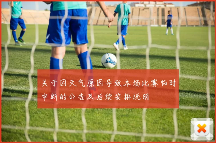 关于因天气原因导致本场比赛临时中断的公告及后续安排说明